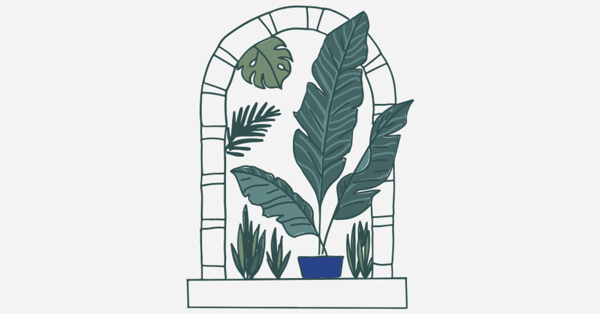 Expert Plant Care with Peat-Free Soil Mixes | Birdy’s Plants
 – BIRDY'S PLANTS