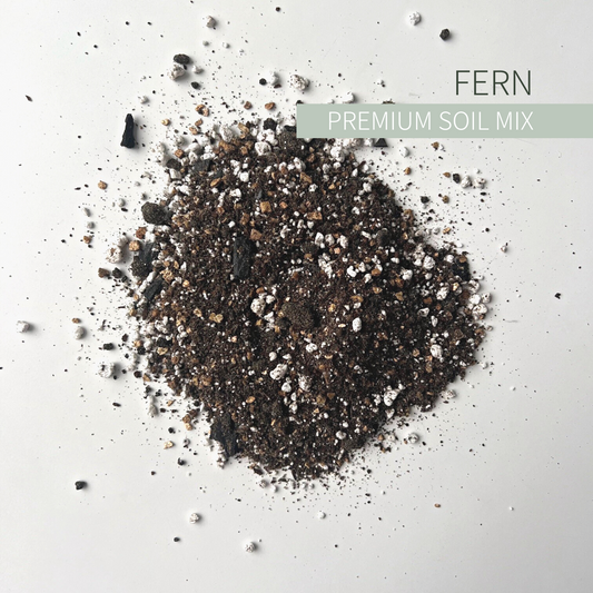 Birdy's Plants Premium Fern Soil Mix - the best choice for ferns and begonias. This nutrient-rich blend boasts high moisture retention and excellent drainage, perfect for acidic soil environments. Ensure your plants thrive with optimal growth conditions and vibrant foliage.