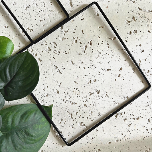 From Birdy's Plants, the Ivan Square Trellis, a sophisticated black metal trellis, accompanies a thriving Scindapsus Jade Satin houseplant. This metal trellis for climbing plants offers robust indoor support, enriching your houseplant garden with its elegant design and practicality.