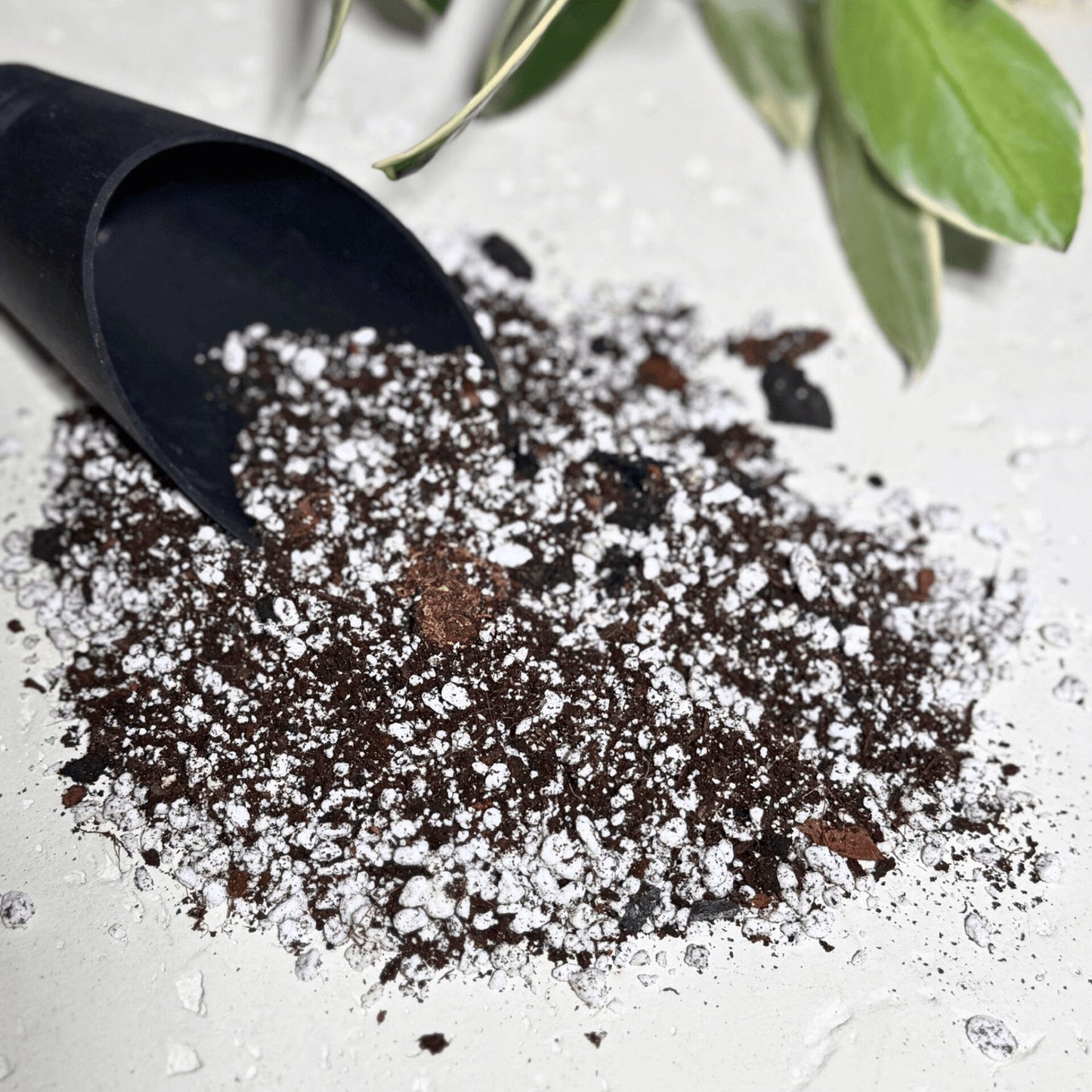 Soil scoop pouring potting mix with Hoya plant in background, mess-free tool for indoor plant repotting and soil mixing