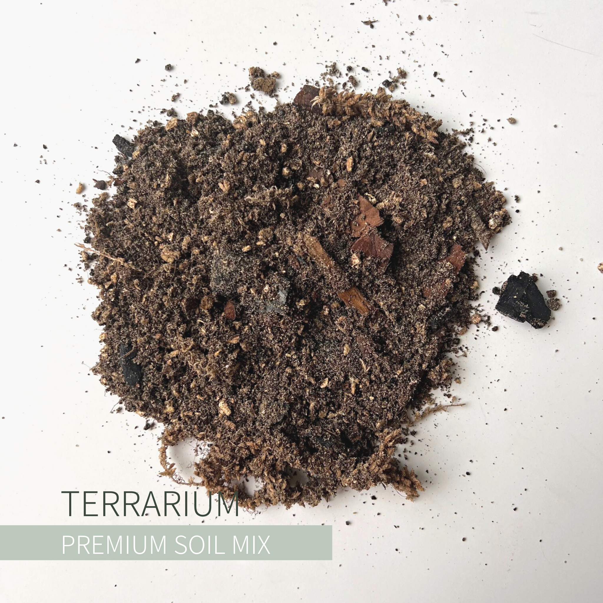 Terrarium Soil Houseplant Potting Mix All Purpose Planting Substrate Medium  for Terrariums and Plants Peat Free Plant Soil Compost -  Hong Kong