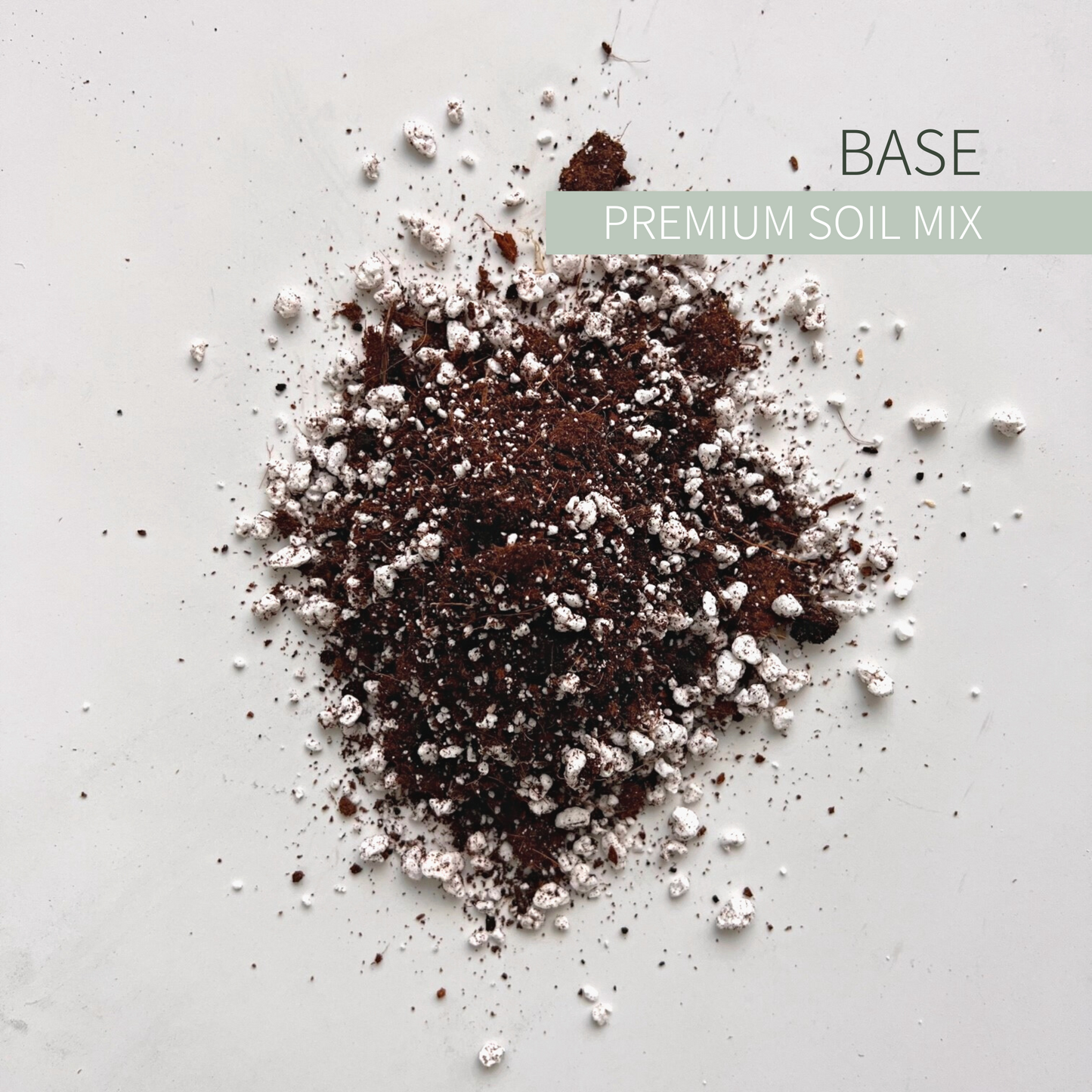 Birdy's Plants Premium Base Soil Mix.