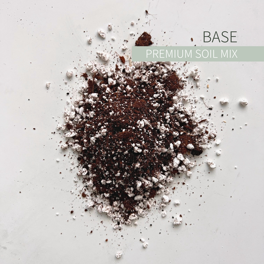 Birdy's Plants Premium Base Soil Mix.