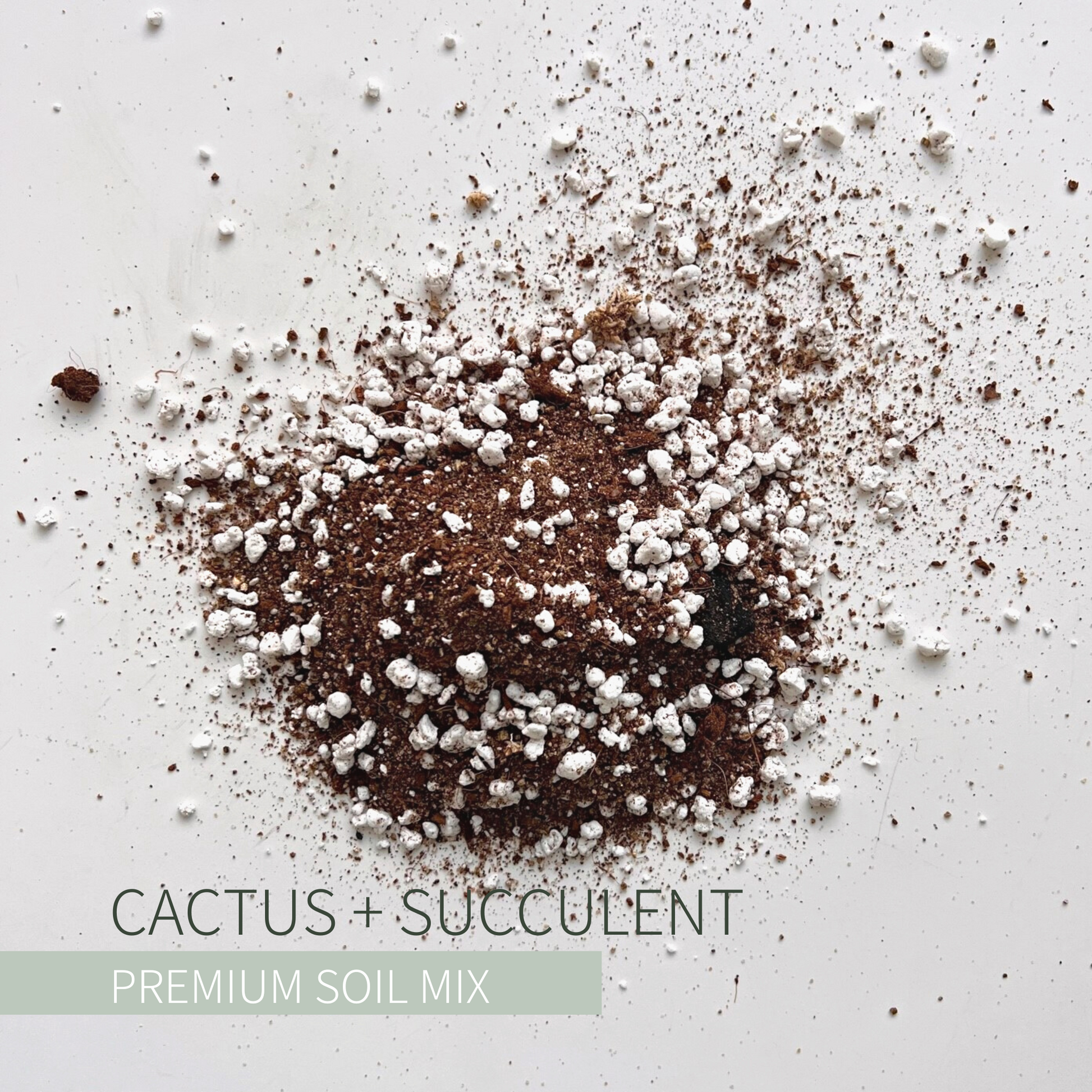 Birdy's Plants Premium Cactus + Succulent Soil Mix.