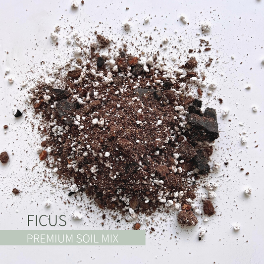 Birdy's Plants Premium Ficus Soil Mix.