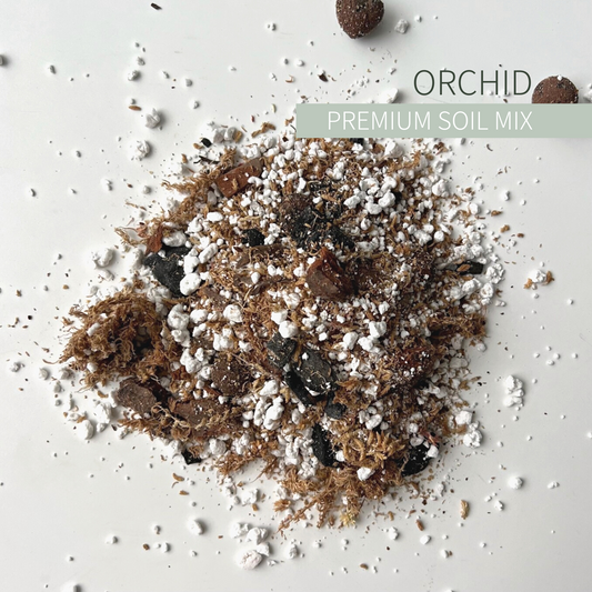 Birdy's Plants Premium Orchid Soil Mix.