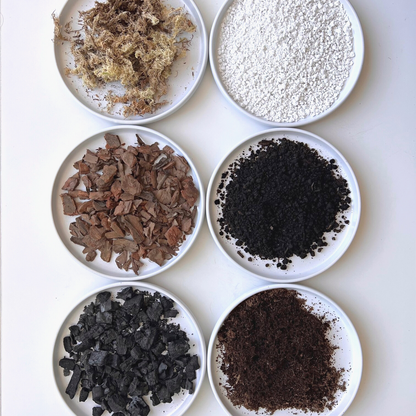 A ingredient makeup of Birdy's Plants Premium Alocasia Soil Mix including activated horticultural charcoal, orchid bark, sphagnum moss, coarse perlite, worm castings, and coco coir.