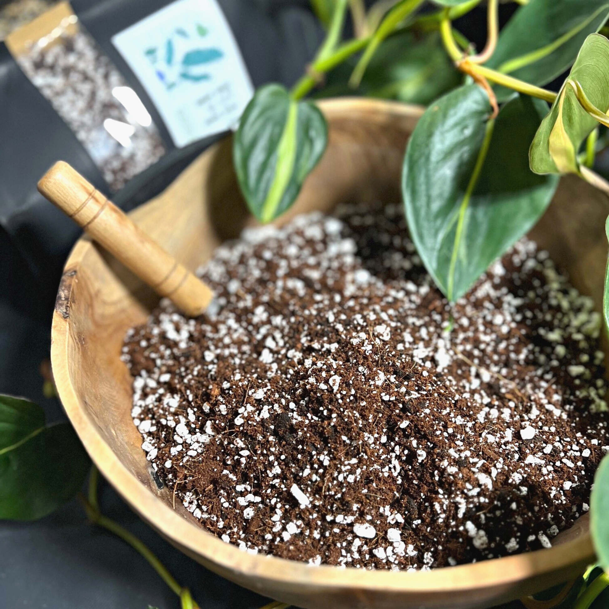 Birdy's Plants Premium Base Soil Mix beside a 2L bag of Birdy's Plants Base Soil Mix and a Philodendron Brasil plant in the background.