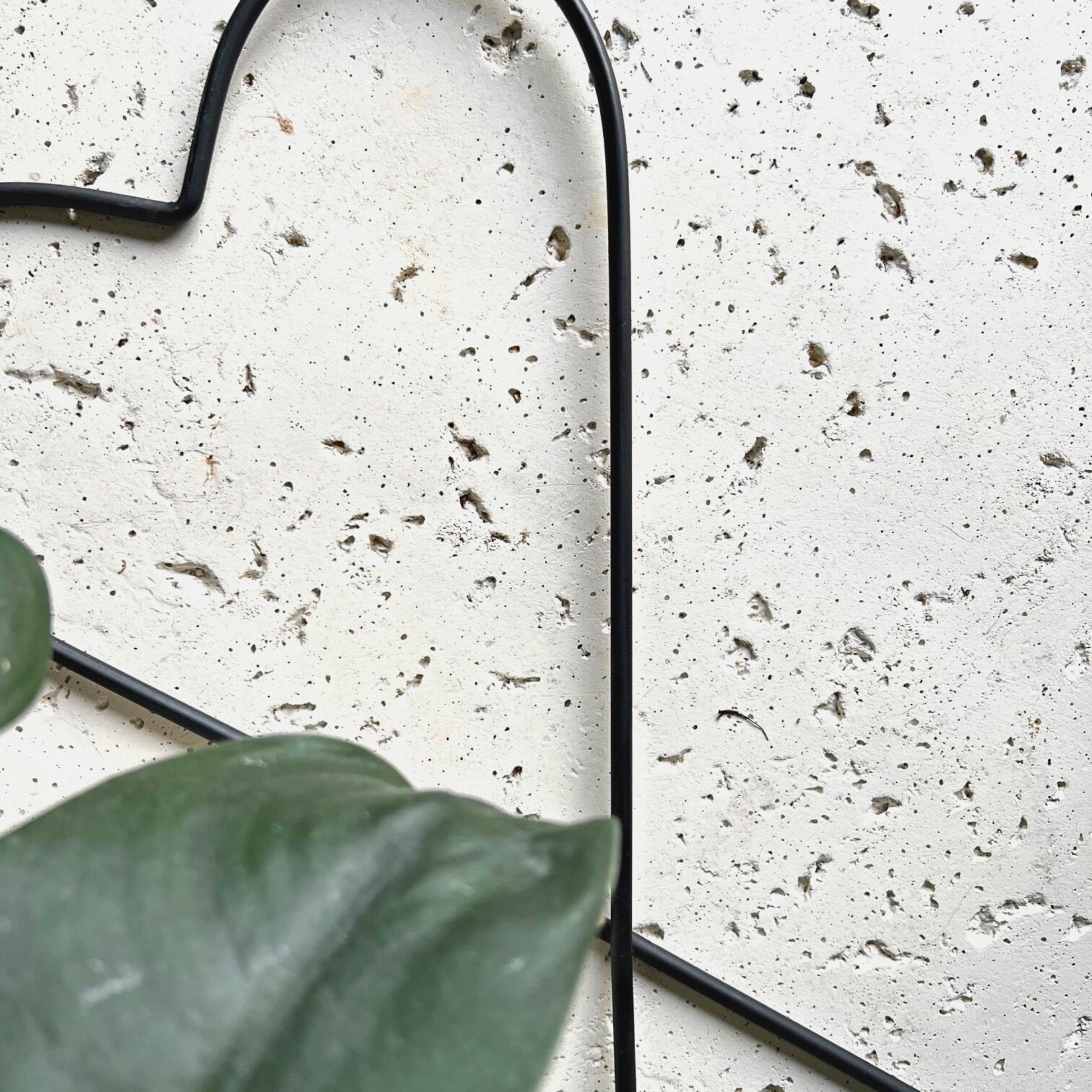 Nestled beside a lush Scindapsus Jade houseplant, the Malina Heart Trellis from Birdy's Plants stands gracefully as a black metal trellis for climbing plants. Designed for indoor use, this heart-shaped plant trellis adds charm and functionality to your houseplant garden or indoor space.