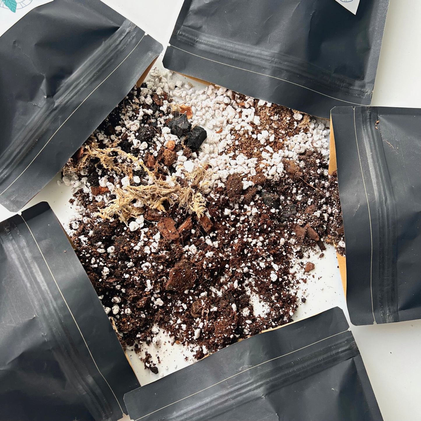 Birdy's Plants Premium Alocasia Soil Mix, Birdy's Plants Premium Cactus + Succulent Soil Mix, Birdy's Plants Premium Base Soil Mix, Birdy's Plants Premium Hoya Soil Mix, and Birdy's Plants Premium Philodendron + Monstera Soil Mix