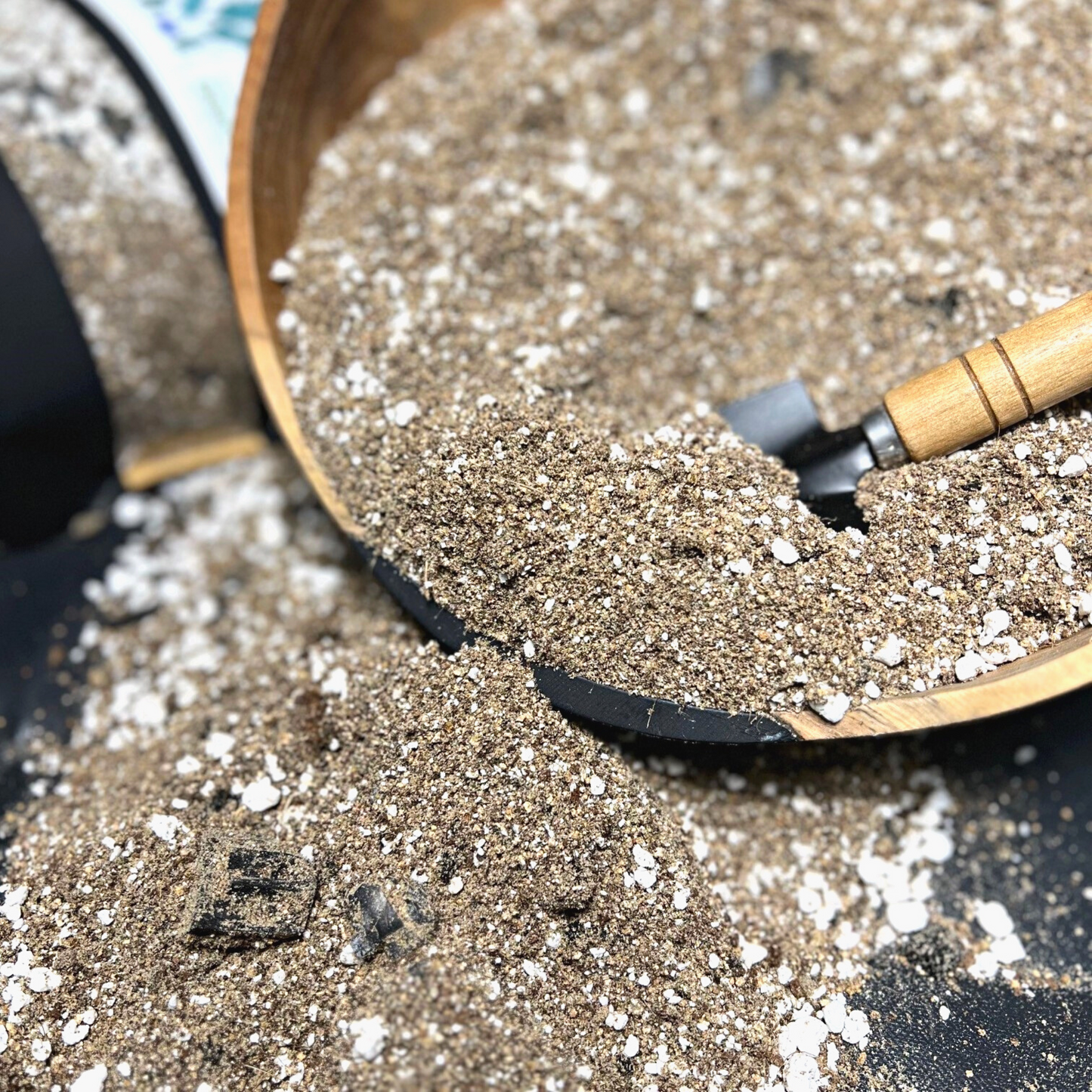 Birdy's Plants Premium Cactus + Succulent Soil Mix beside a 2L bag of A ingredient makeup of Birdy's Plants Premium Cactus + Succulent Soil Mix.