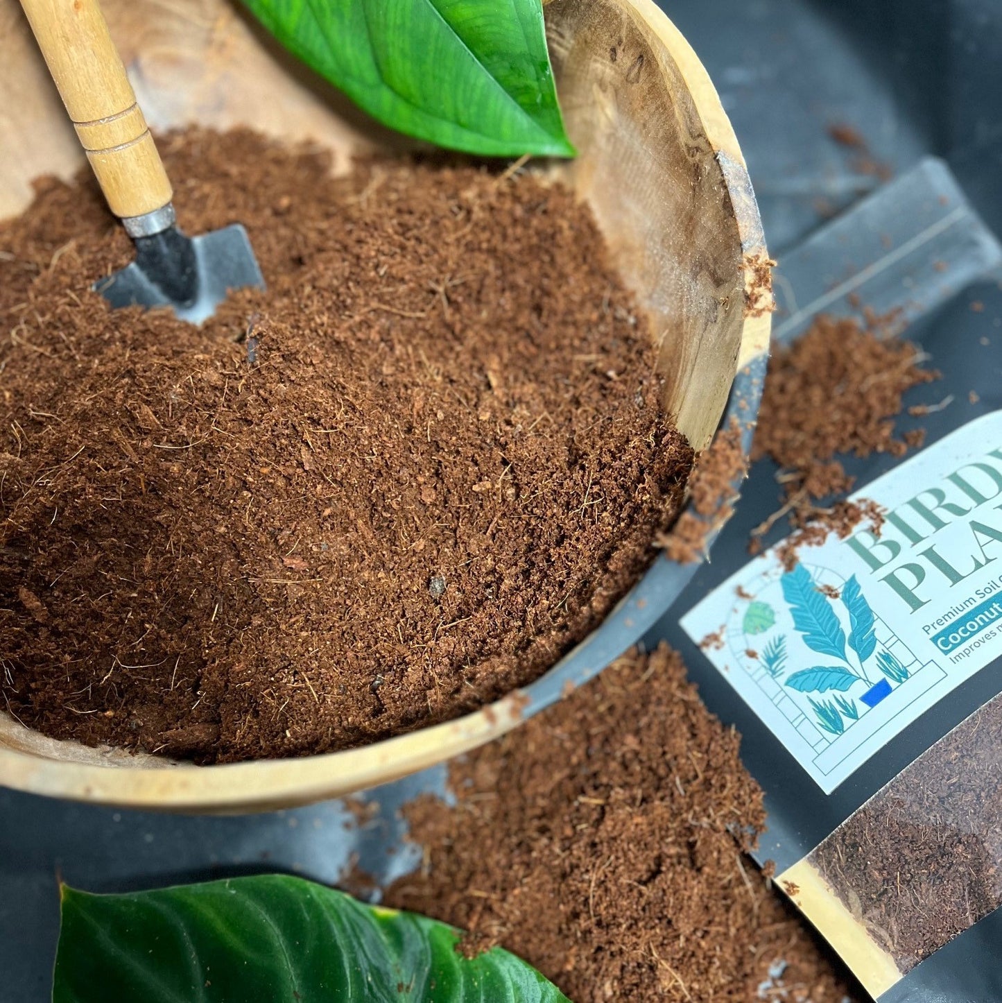 A pile of peat-moss free coco coir beside a Birdy's Plants 2L bag of coco coir.