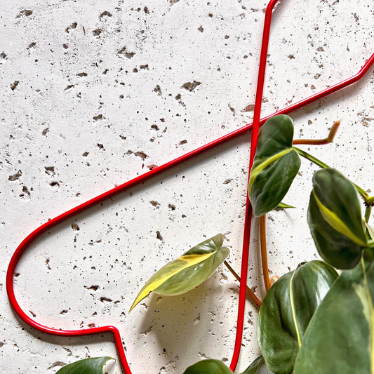 Adjacent to a vibrant Philodendron Brasil houseplant, the Malina Heart Trellis from Birdy's Plants stands as a charming metal trellis, perfect for indoor climbing plants. This red heart-shaped metal trellis for house plants adds whimsy and functionality to your indoor garden.