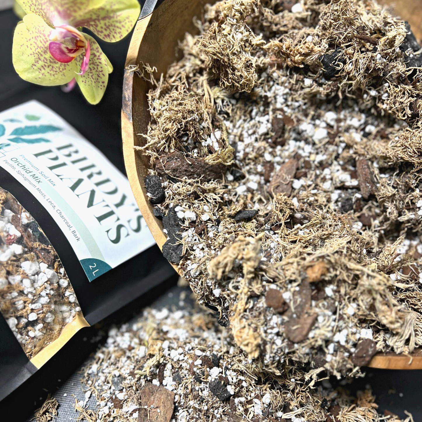 Birdy's Plants Premium Orchid Soil Mix beside a 2L bag of Birdy's Plants Premium Orchid Soil Mix with an orchid in the background.