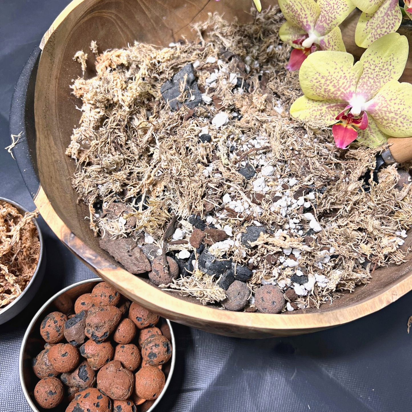 Birdy's Plants Premium Orchid Soil Mix beside leca and sphagnum moss with an orchid in the background.