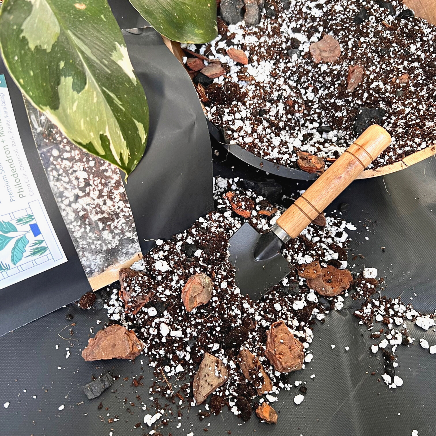 Birdy's Plants Premium Philodendron + Monstera Soil Mix beside a 2L bag of Birdy's Plants Philodendron + Monstera Soil Mix with a Philodendron White Wizard in the background.
