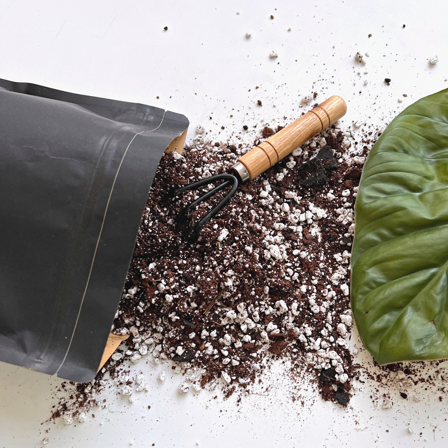 A bag of Birdy's Plants 2L Premium Philodendron + Monstera Soil Mix being spilled out with a Philodendron SP Colombia beside it.