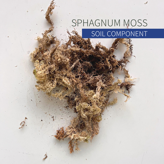 A pile of long-fibered Canadian sphagnum moss.
