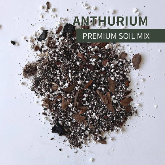 Birdy's Plants Anthurium Soil Mix is for tropical houseplants and aroids. Premium airy blend of bark, perlite, and organic matter that supports drainage, aeration, and healthy root growth.