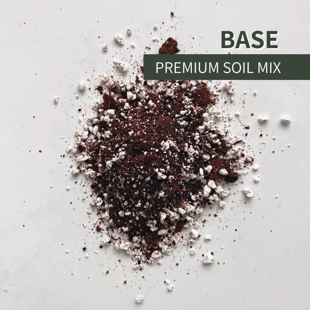 Birdy's Plants Premium Base Soil Mix for outdoor and indoor houseplants and aroids. Natural blend of coco coir, perlite, and organic matter created with natural nutrients to support drainage, aeration, and root development.
