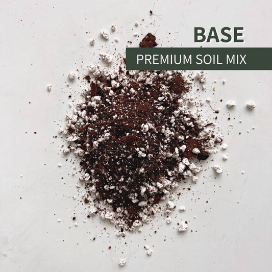 Birdy's Plants Premium Base Soil Mix for outdoor and indoor houseplants and aroids. Natural blend of coco coir, perlite, and organic matter created with natural nutrients to support drainage, aeration, and root development.