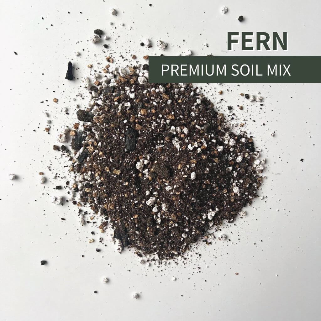 Birdy's Plants Premium Fern Soil Mix - the best choice for ferns and begonias. This nutrient-rich blend boasts high moisture retention and excellent drainage, perfect for acidic soil environments. Ensure your plants thrive with optimal growth conditions and vibrant foliage.
