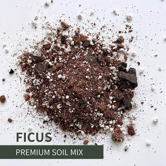 Birdy's plants Ficus soil mix for indoor plants and bonsai, with premium, fast-draining blend of bark, perlite, and organic matter that promotes aeration, root strength, and healthy growth for all ficus varieties.