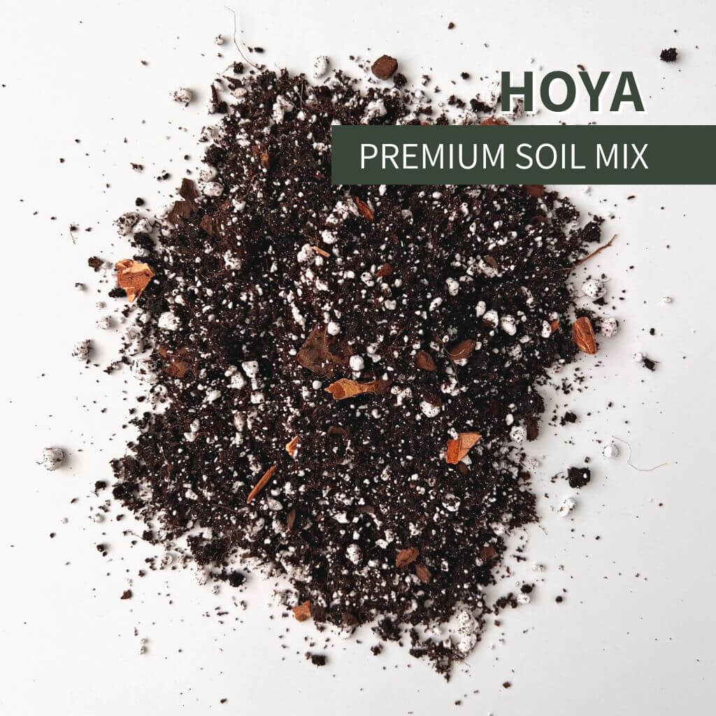 Birdy's Plants Hoya soil mix for indoor houseplants and semi-epiphytic species with premium fast-draining blend of bark, perlite, and organic matter designed to improve aeration and prevent root rot.