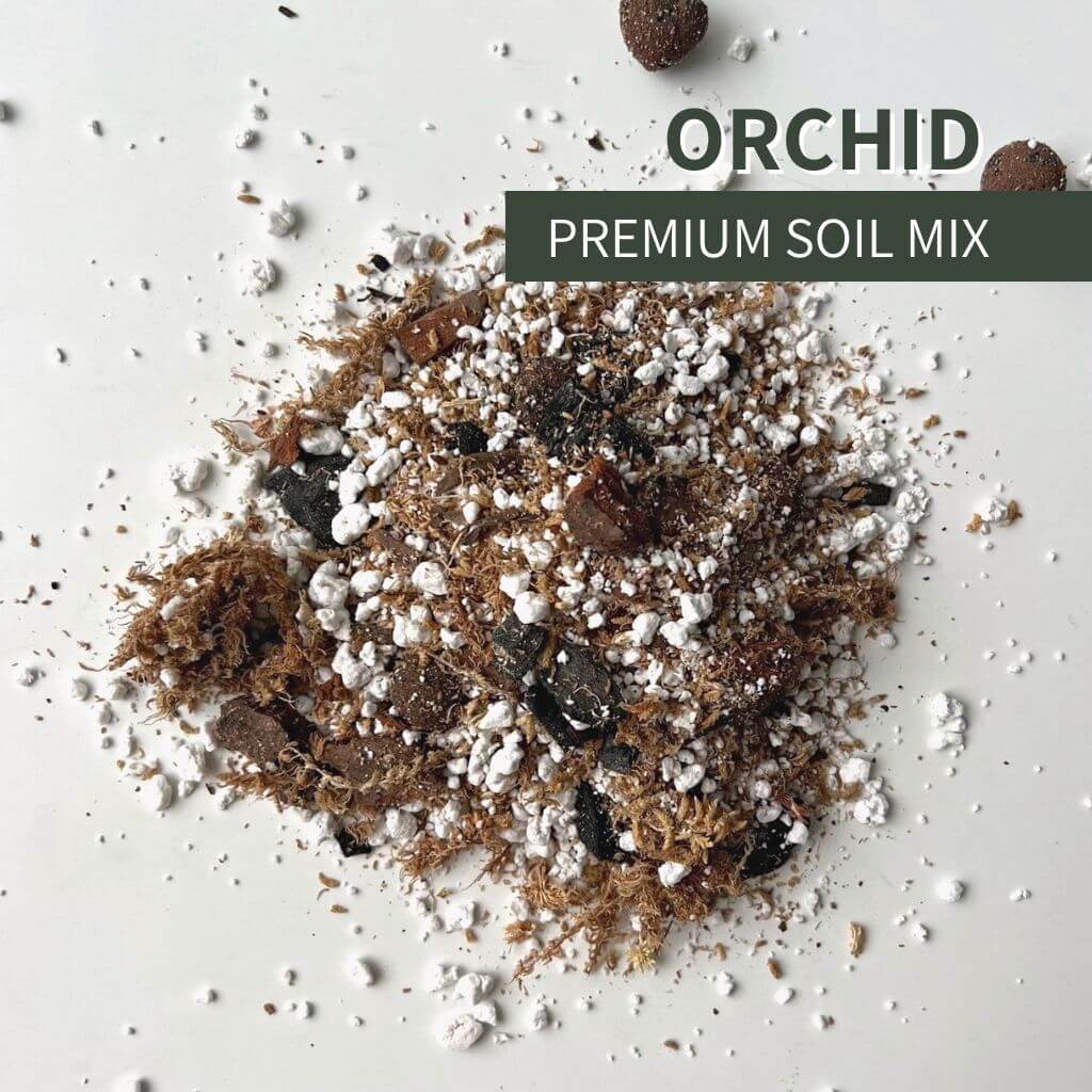 Birdy's Plants Orchid soil mix for indoor orchids and epiphytic plants. Premium blend of bark, perlite, and long-fibered sphagnum moss that improves drainage, aeration, and root health.