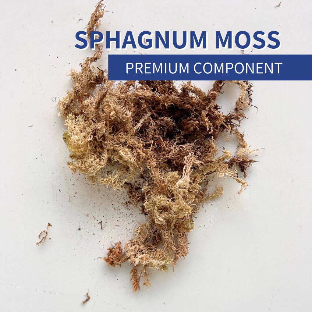 Long-fibered sphagnum moss for plants and propagation. Natural moisture-retentive moss that supports humidity, aeration, and healthy root growth in potted and terrarium setups.