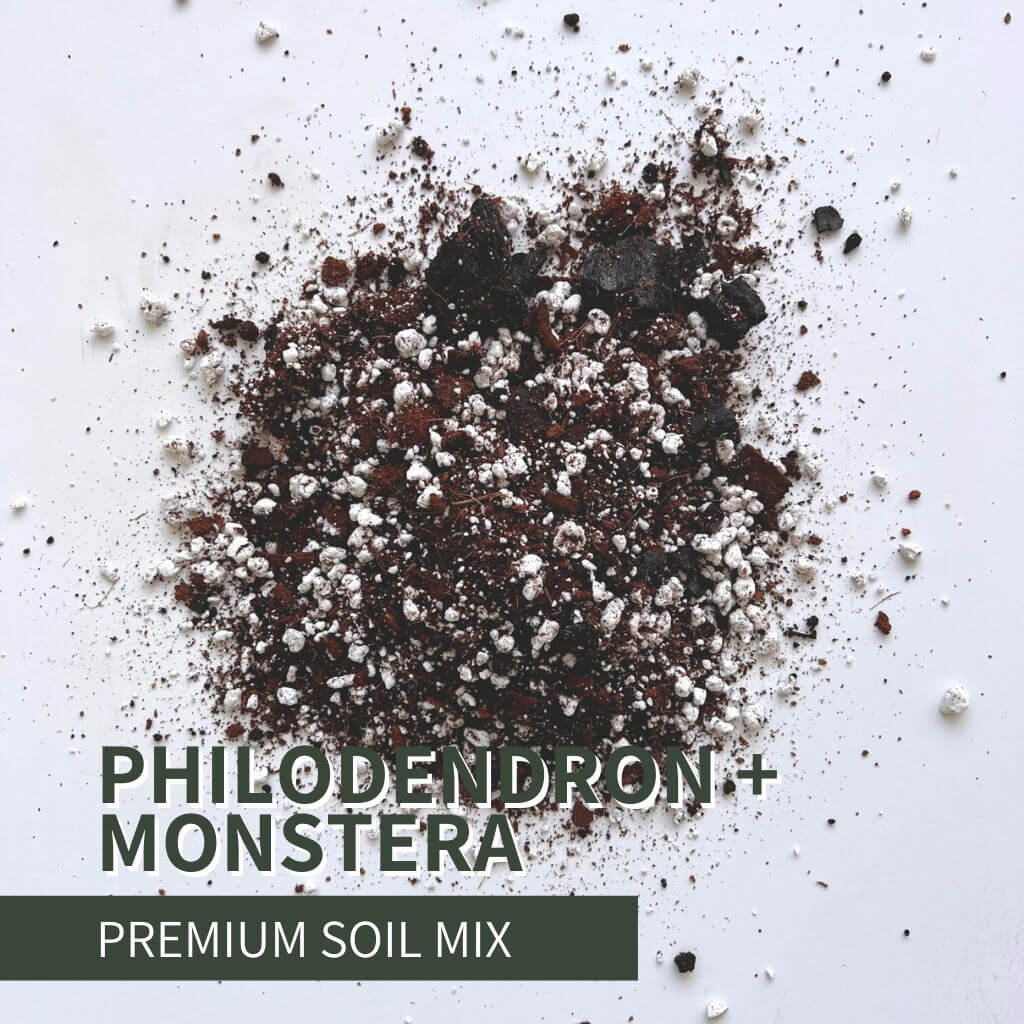 Philodendron and Monstera Soil Mix for tropical houseplants. All-purpose airy blend of bark, perlite, and organic matter that promotes drainage, aeration, and strong root growth.