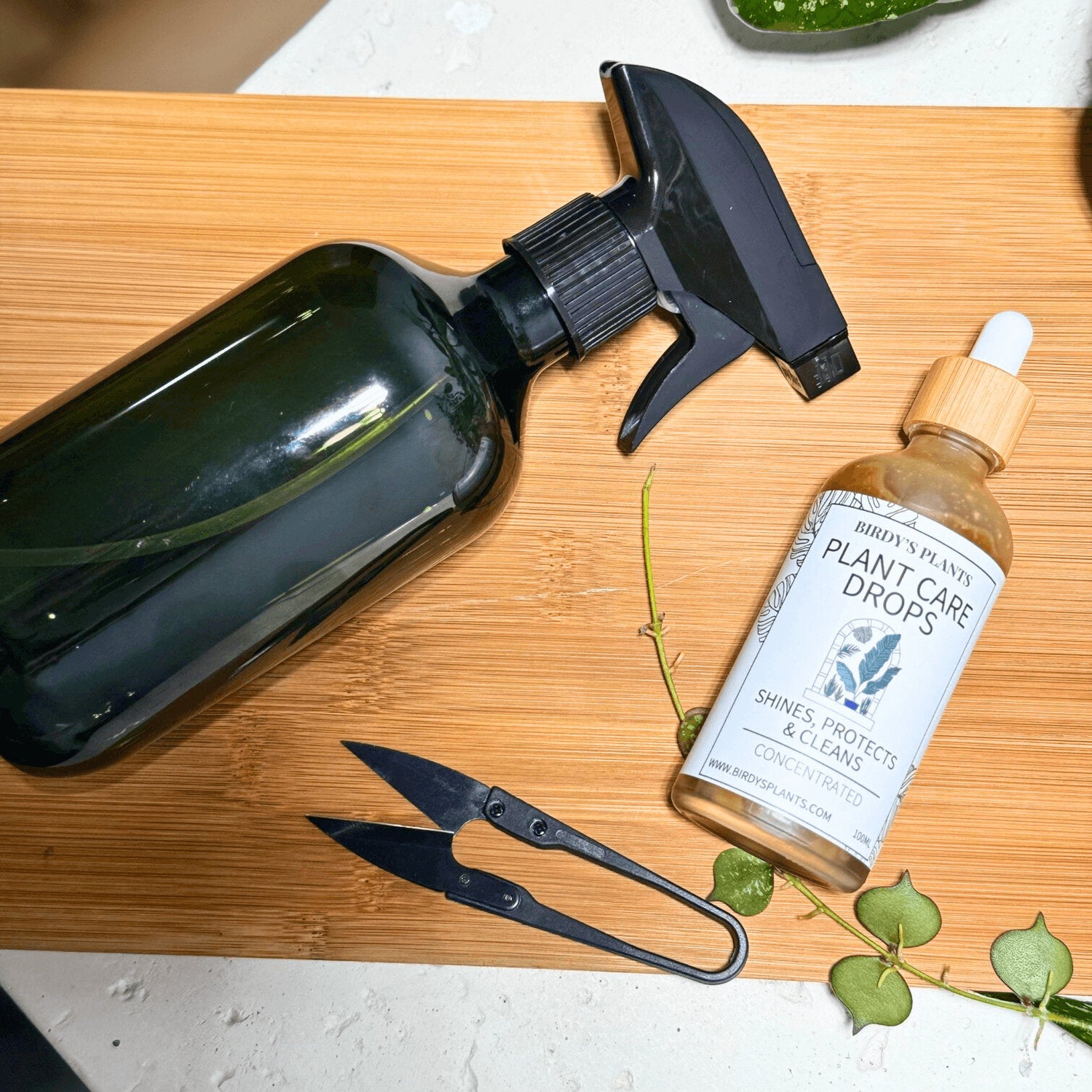 Plant care kit with spray bottle, pruning scissors, and plant care drops with Hoya curtisii plant, indoor plant maintenance set