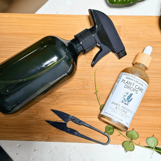 Plant care kit with spray bottle, pruning scissors, and plant care drops with Hoya curtisii plant, indoor plant maintenance set