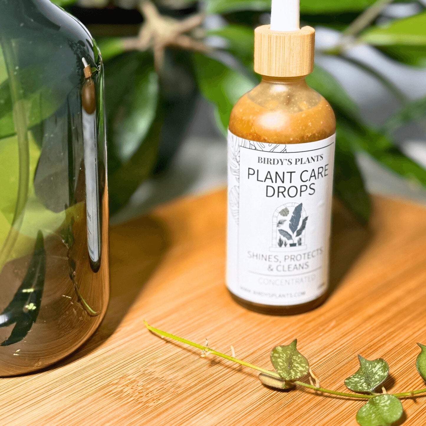 Plant Care Drops bottle with Hoya plants in background, natural solution for indoor plant care and pest prevention