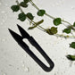 Pruning scissors on neutral background, precision tool for trimming and maintaining indoor plants
