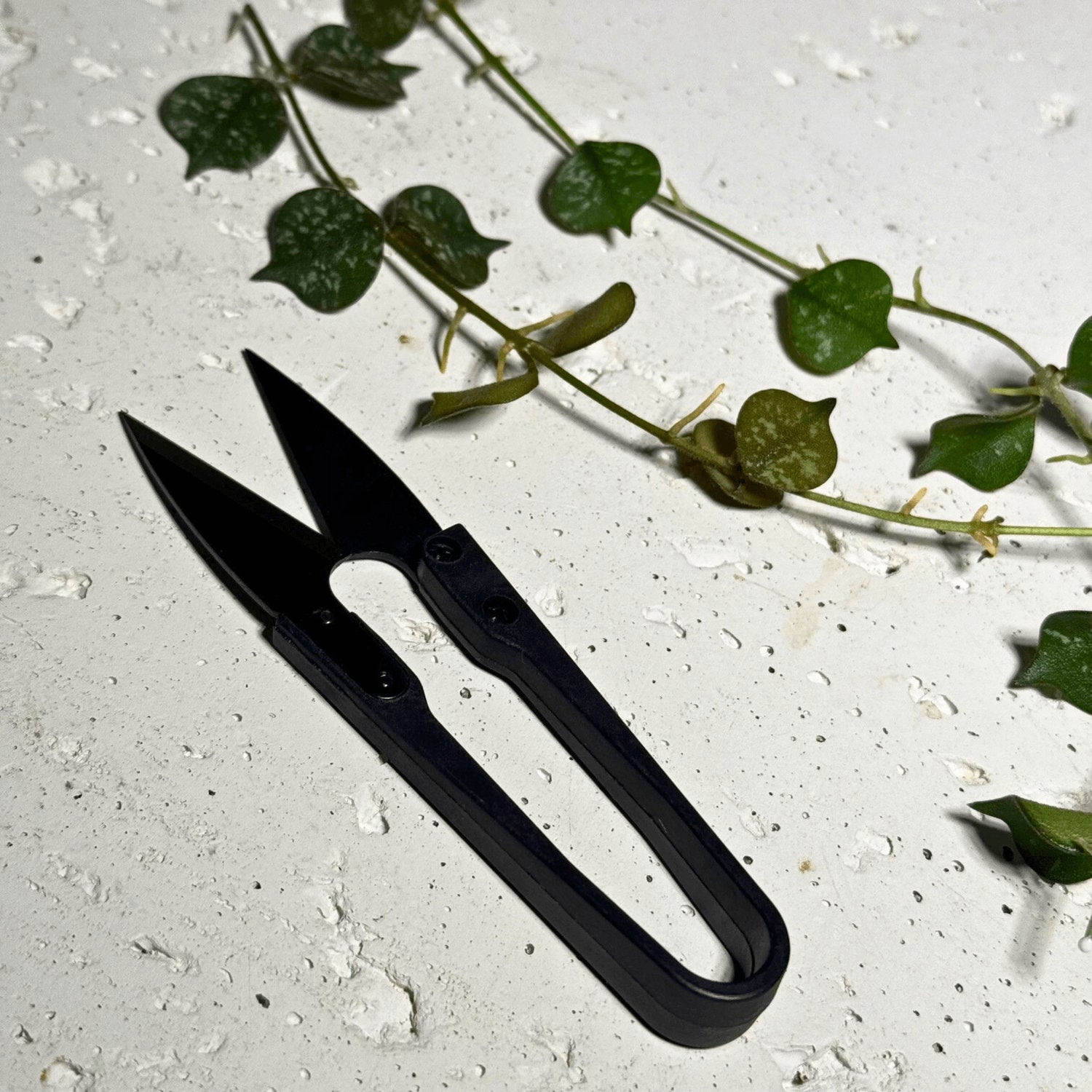 Pruning scissors on neutral background, precision tool for trimming and maintaining indoor plants