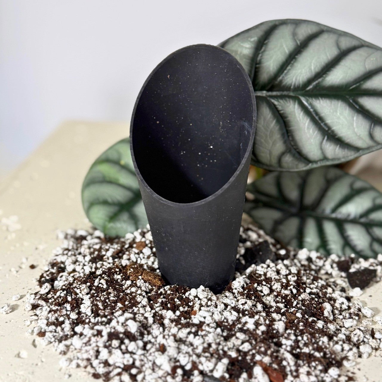 Soil Scoop