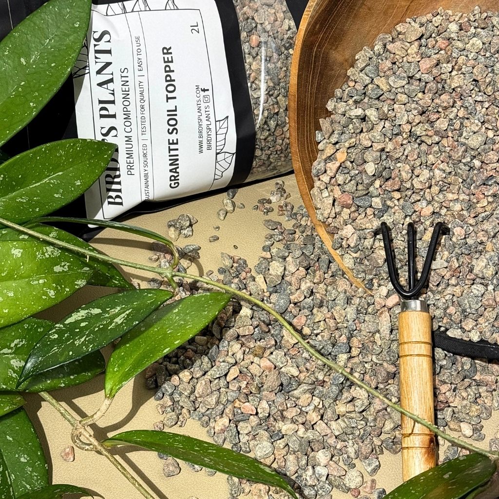 Birdy’s Plants Granite Soil Topper with Hoya pubicalyx vine and garden tools on a neutral background. Decorative granite gravel for indoor planters that improves soil texture, moisture control, and style.