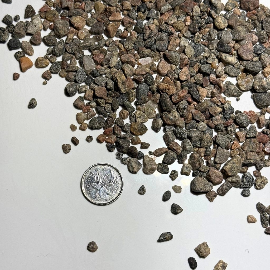 Close-up of Birdy’s Plants Granite Soil Topper showing small decorative rock granules beside a quarter for scale. Natural granite gravel for planters and terrariums that improves drainage and style.
