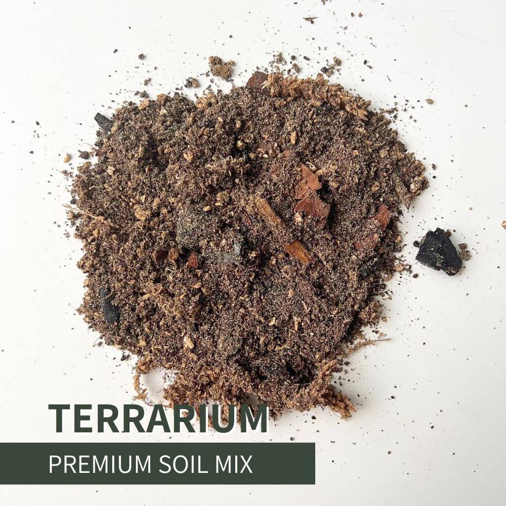 Birdy's Plants terrarium soil mix for glass terrariums, moss, ferns, and tropical plants with a natural blend of sand, bark, charcoal, and organic matter providing drainage, aeration, and humidity control for healthy plant growth.