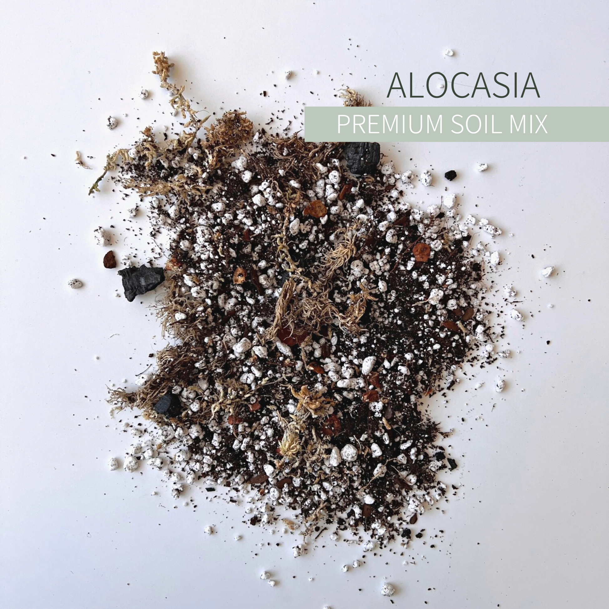 Birdy's Plants Premium Alocasia Soil Mix