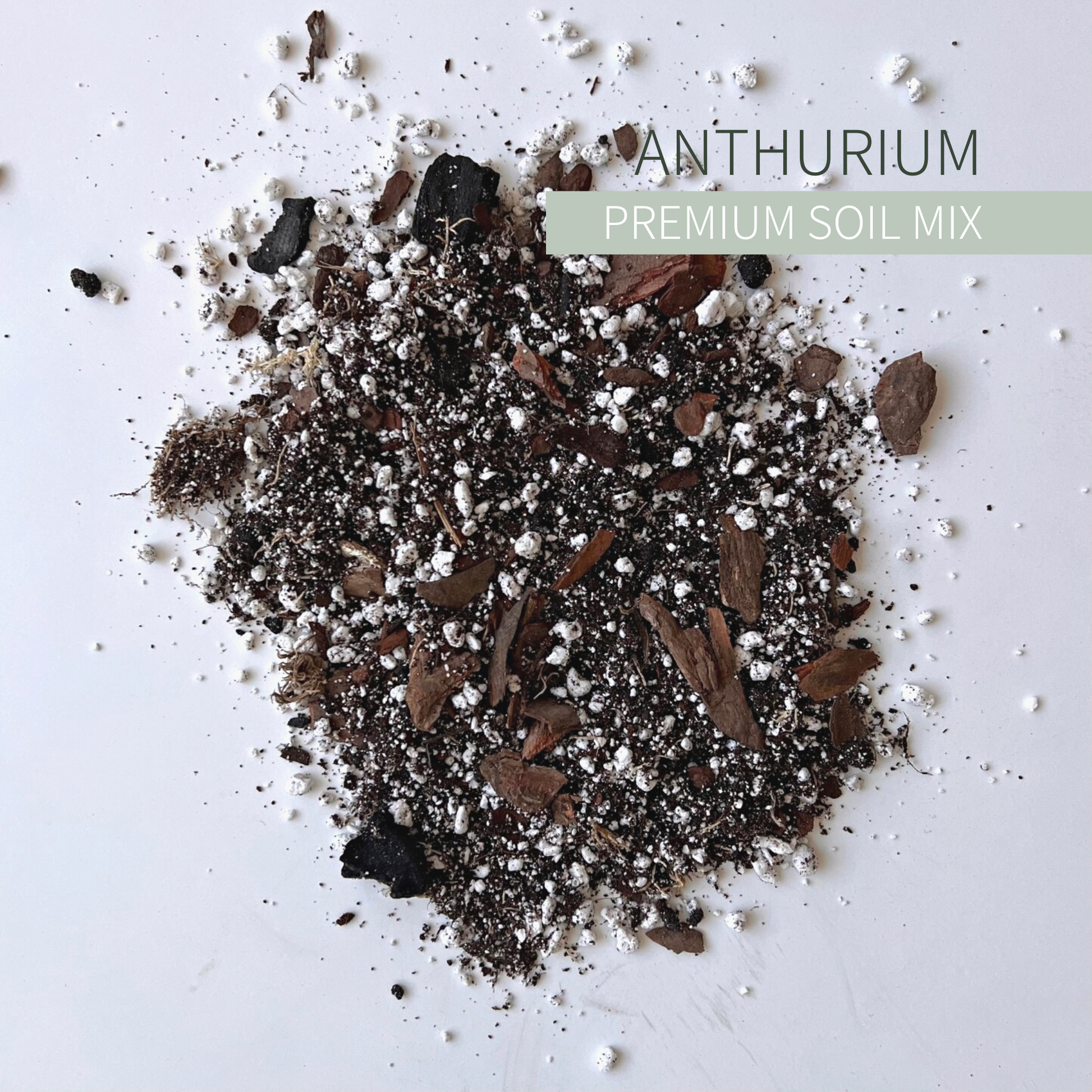 Birdy's Plants Premium Anthurium Soil Mix.