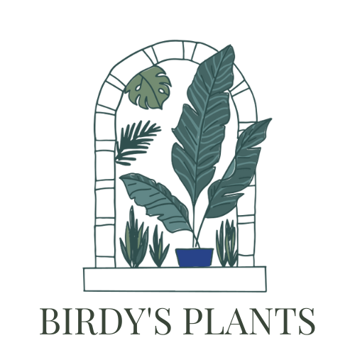 Birdy's Plants logo