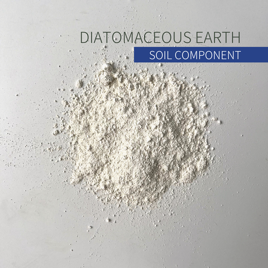 Diatomaceous Earth powder