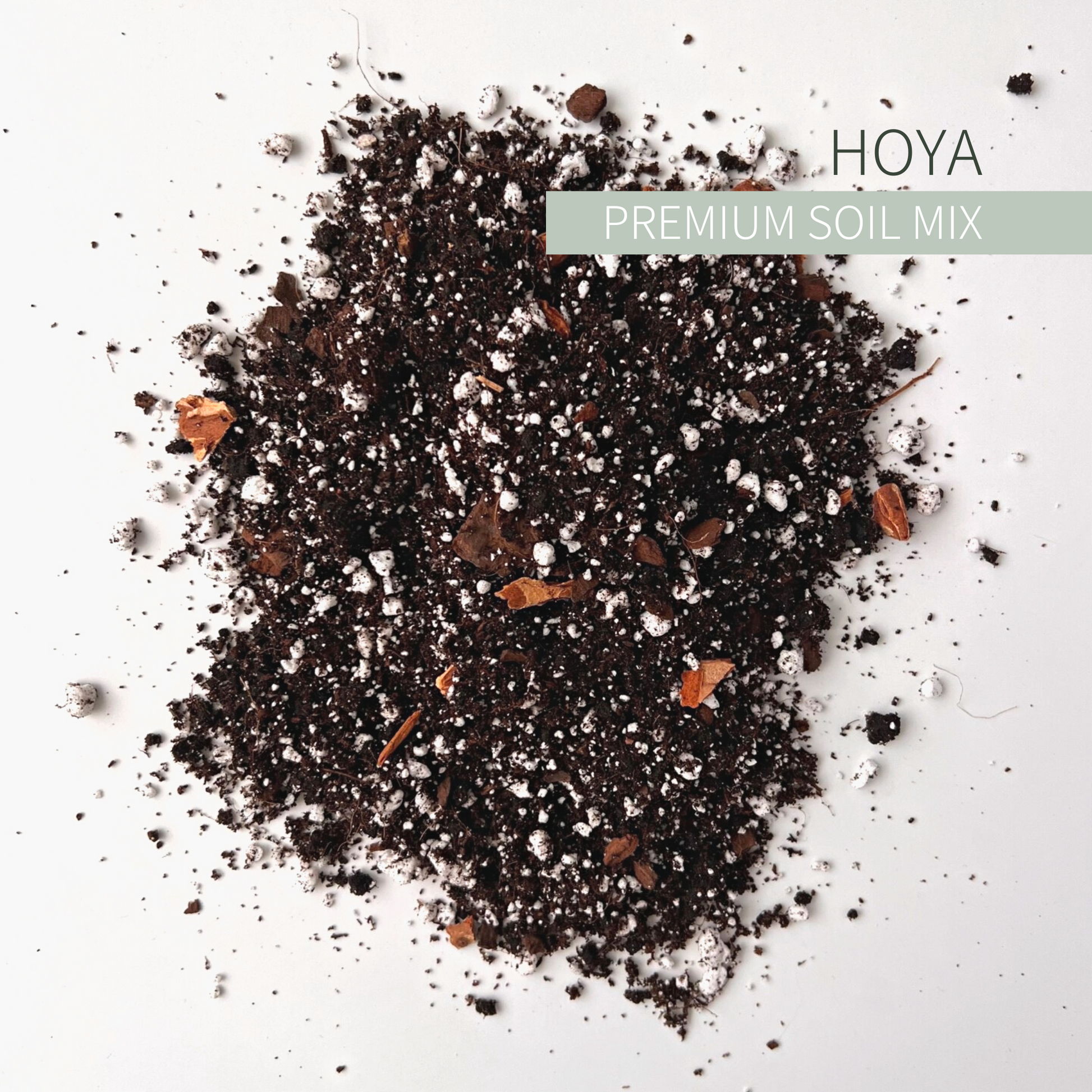 Birdy's Plants Premium Hoya Soil Mix.