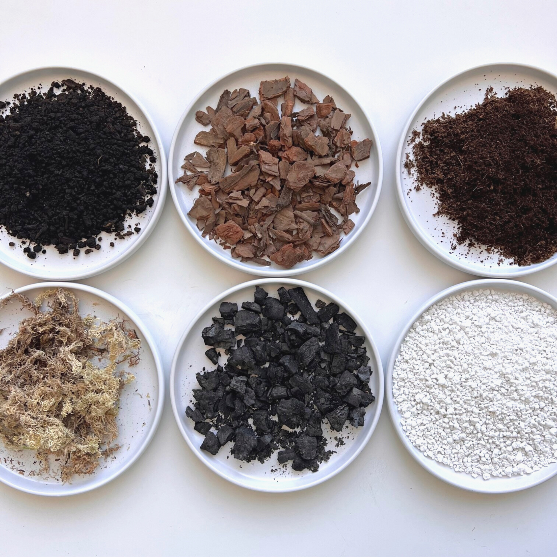 can i use orchid soil for anthurium Anthurium Soil Mix – BIRDY'S PLANTS