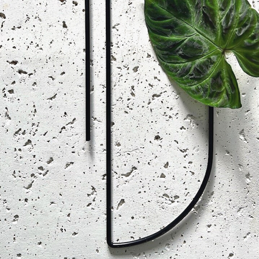 A sleek black metal trellis, Birdy's Plants Ava Semi-Arch Trellis, positioned next to a thriving Philodendron Verrucosum houseplant. This versatile metal trellis for climbing plants serves as an indoor plant trellis or garden support, perfect for training vines and climbers.