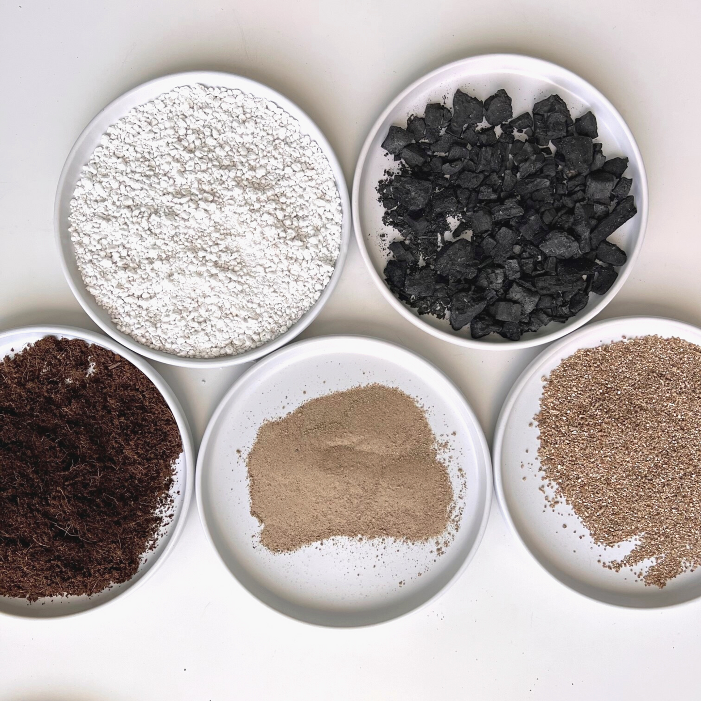 A ingredient makeup of Birdy's Plants Premium Cactus + Succulent Soil Mix including horticultural sand, vermiculite, activated horticultural charcoal, coarse perlite, coco coir.