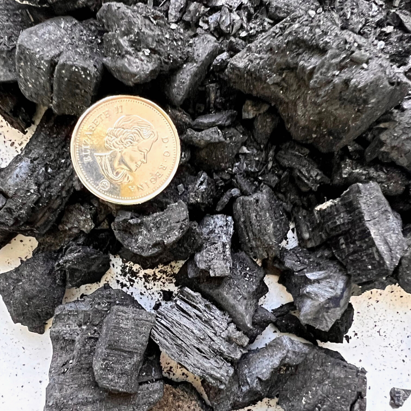 A pile of various sized activated horticultural charcoal bits beside a 5 cent coin to show that some chunks are smaller and others are slightly larger.  