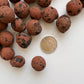A pile of leca/clay balls beside a 5 cent coin showing that they are equal in size.